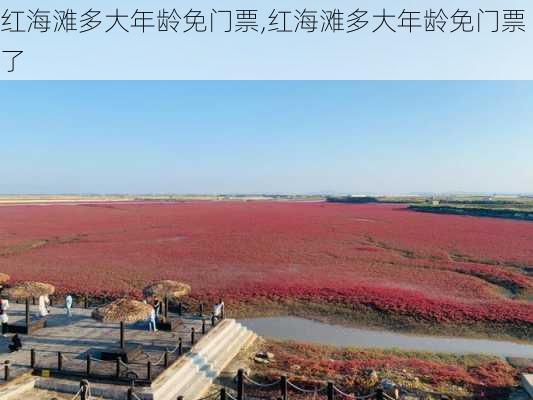 红海滩多大年龄免门票,红海滩多大年龄免门票了