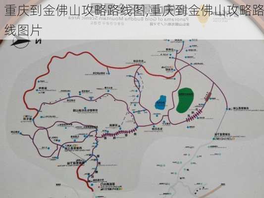 重庆到金佛山攻略路线图,重庆到金佛山攻略路线图片