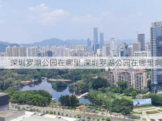 深圳罗湖公园在哪里,深圳罗湖公园在哪里啊