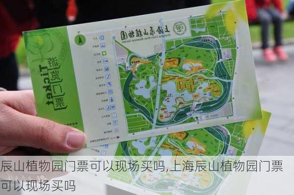 辰山植物园门票可以现场买吗,上海辰山植物园门票可以现场买吗