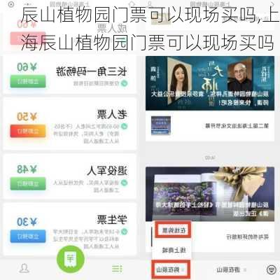 辰山植物园门票可以现场买吗,上海辰山植物园门票可以现场买吗