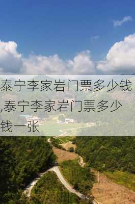 泰宁李家岩门票多少钱,泰宁李家岩门票多少钱一张