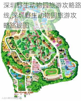 深圳野生动物园旅游攻略路线,深圳野生动物园旅游攻略路线图