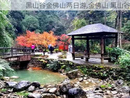 黑山谷金佛山两日游,金佛山 黑山谷