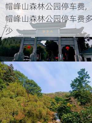 帽峰山森林公园停车费,帽峰山森林公园停车费多少