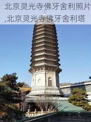 北京灵光寺佛牙舍利照片,北京灵光寺佛牙舍利塔