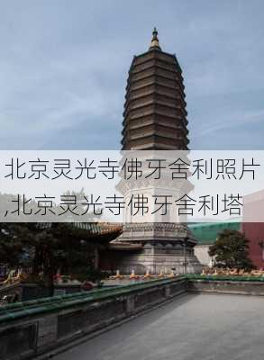 北京灵光寺佛牙舍利照片,北京灵光寺佛牙舍利塔