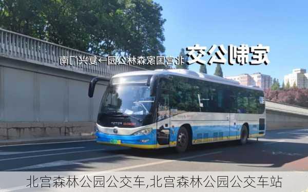 北宫森林公园公交车,北宫森林公园公交车站