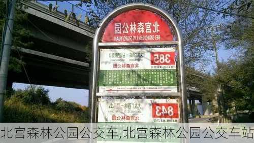 北宫森林公园公交车,北宫森林公园公交车站