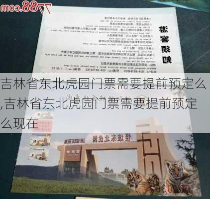 吉林省东北虎园门票需要提前预定么,吉林省东北虎园门票需要提前预定么现在