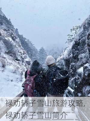 禄劝轿子雪山旅游攻略,禄劝轿子雪山简介