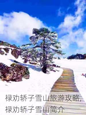 禄劝轿子雪山旅游攻略,禄劝轿子雪山简介