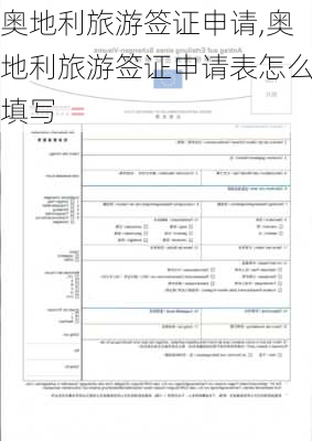 奥地利旅游签证申请,奥地利旅游签证申请表怎么填写