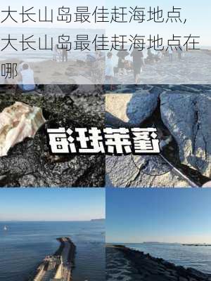 大长山岛最佳赶海地点,大长山岛最佳赶海地点在哪