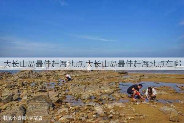 大长山岛最佳赶海地点,大长山岛最佳赶海地点在哪