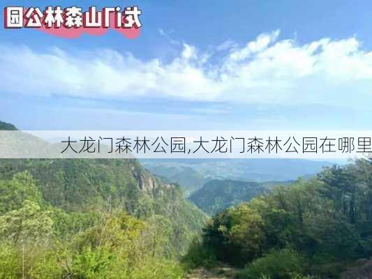 大龙门森林公园,大龙门森林公园在哪里