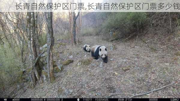 长青自然保护区门票,长青自然保护区门票多少钱