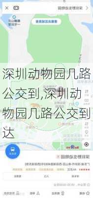 深圳动物园几路公交到,深圳动物园几路公交到达