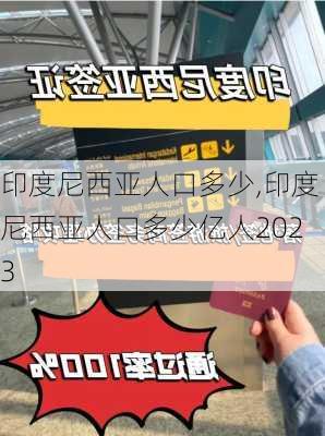 印度尼西亚人口多少,印度尼西亚人口多少亿人2023