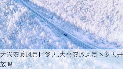 大兴安岭风景区冬天,大兴安岭风景区冬天开放吗