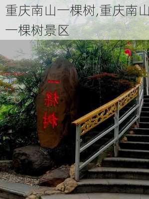 重庆南山一棵树,重庆南山一棵树景区