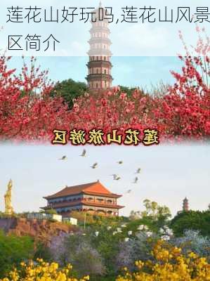 莲花山好玩吗,莲花山风景区简介