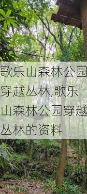 歌乐山森林公园穿越丛林,歌乐山森林公园穿越丛林的资料