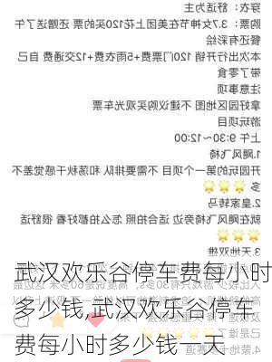 武汉欢乐谷停车费每小时多少钱,武汉欢乐谷停车费每小时多少钱一天