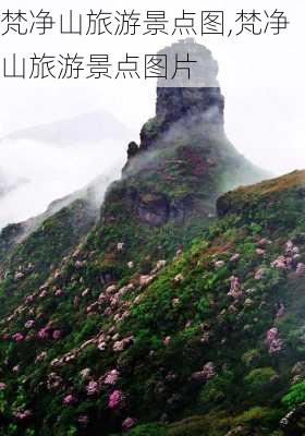 梵净山旅游景点图,梵净山旅游景点图片