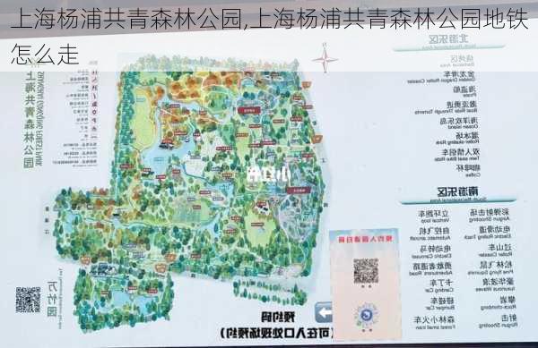 上海杨浦共青森林公园,上海杨浦共青森林公园地铁怎么走