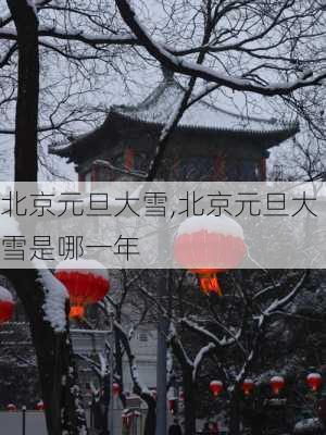 北京元旦大雪,北京元旦大雪是哪一年