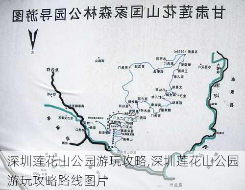 深圳莲花山公园游玩攻略,深圳莲花山公园游玩攻略路线图片