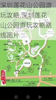 深圳莲花山公园游玩攻略,深圳莲花山公园游玩攻略路线图片