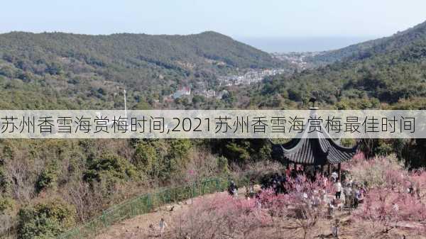 苏州香雪海赏梅时间,2021苏州香雪海赏梅最佳时间