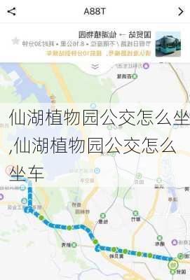 仙湖植物园公交怎么坐,仙湖植物园公交怎么坐车