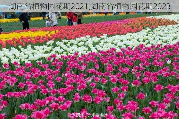 湖南省植物园花期2021,湖南省植物园花期2023