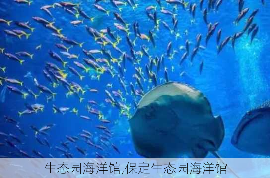 生态园海洋馆,保定生态园海洋馆