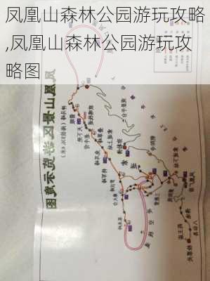 凤凰山森林公园游玩攻略,凤凰山森林公园游玩攻略图