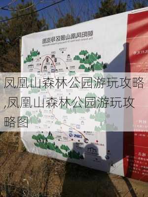 凤凰山森林公园游玩攻略,凤凰山森林公园游玩攻略图