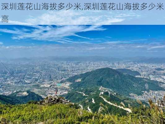 深圳莲花山海拔多少米,深圳莲花山海拔多少米高