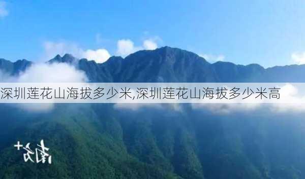 深圳莲花山海拔多少米,深圳莲花山海拔多少米高