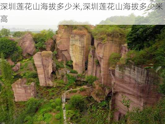 深圳莲花山海拔多少米,深圳莲花山海拔多少米高