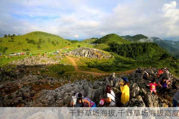 千野草场海拔,千野草场海拔高度