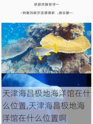 天津海昌极地海洋馆在什么位置,天津海昌极地海洋馆在什么位置啊