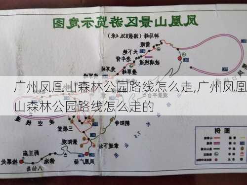 广州凤凰山森林公园路线怎么走,广州凤凰山森林公园路线怎么走的