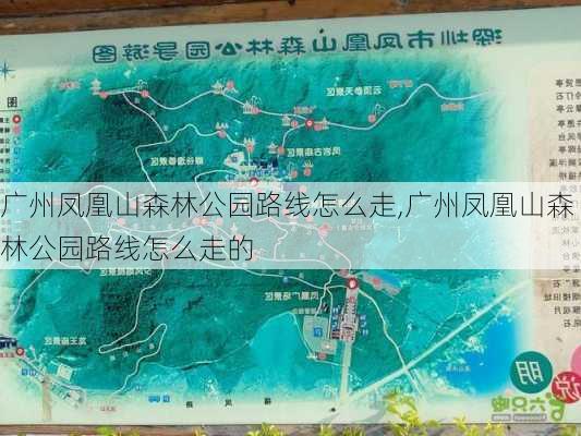 广州凤凰山森林公园路线怎么走,广州凤凰山森林公园路线怎么走的