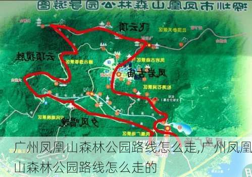 广州凤凰山森林公园路线怎么走,广州凤凰山森林公园路线怎么走的