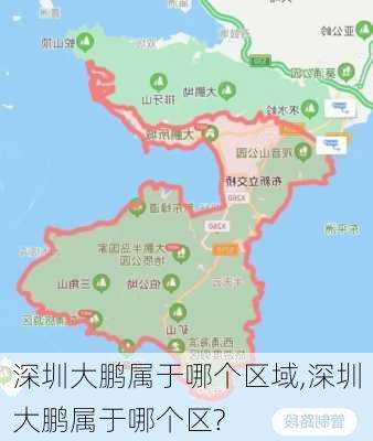 深圳大鹏属于哪个区域,深圳大鹏属于哪个区?