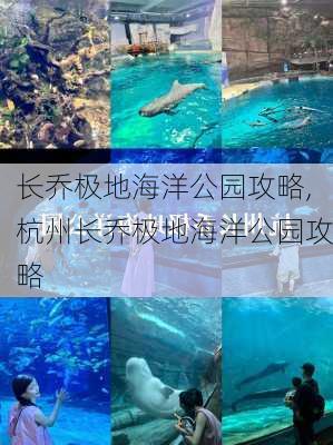 长乔极地海洋公园攻略,杭州长乔极地海洋公园攻略