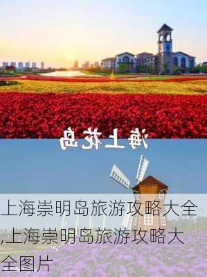 上海崇明岛旅游攻略大全,上海崇明岛旅游攻略大全图片